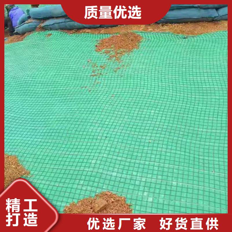 椰纤植生毯-椰丝植生毯本地经销商