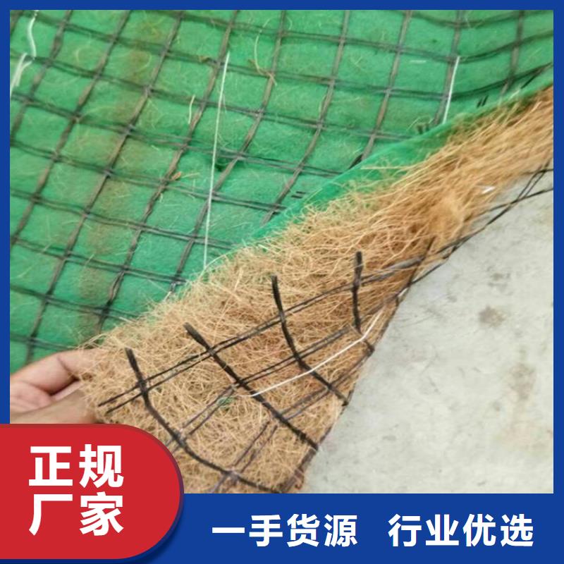 抗冲椰丝毯-护坡绿化椰丝毯敢与同行比价格
