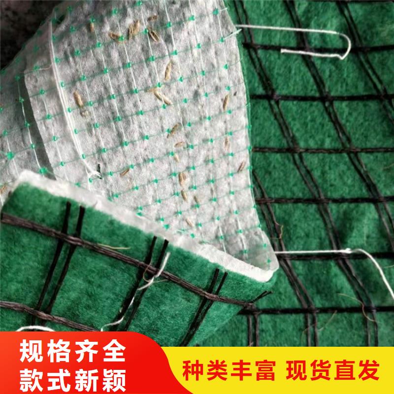 植生椰絲毯-加筋抗沖生物毯品質(zhì)保障價格合理
