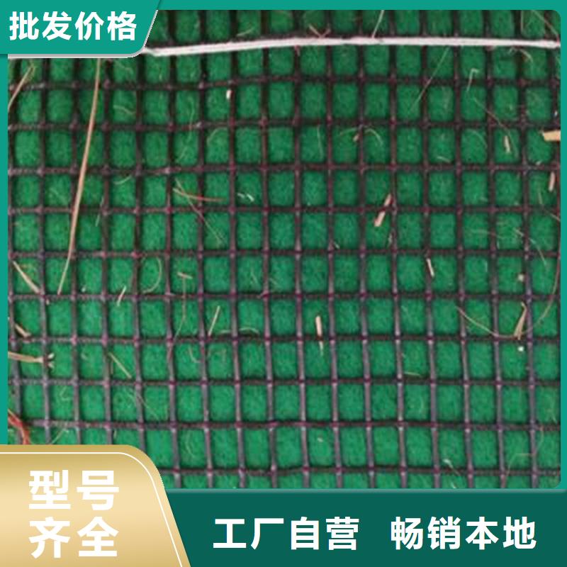 植物纤维毯-植物生态毯实体厂家支持定制