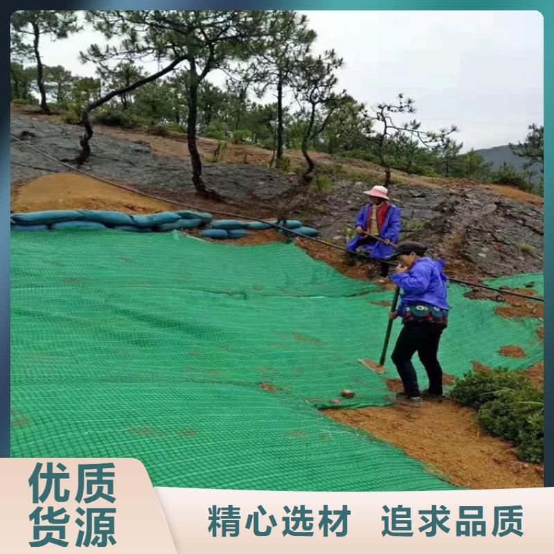 椰丝毯钢塑土工格栅甄选好厂家商家直供