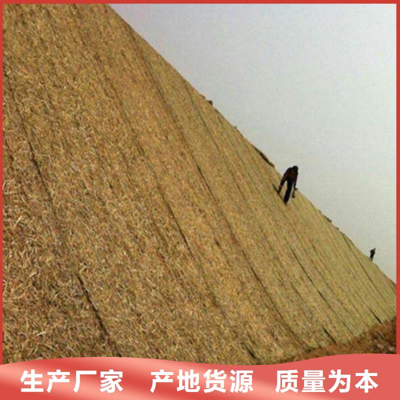 椰纤植生毯-生态植被毯-加筋复合抗冲生态毯本地服务商