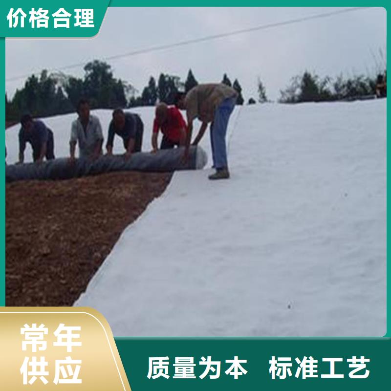 膨润土防水毯防裂贴卓越品质保障工艺层层把关