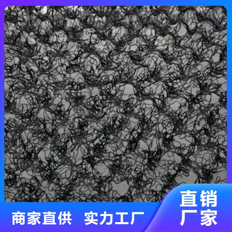 【水土保护毯】排水板实力雄厚品质保障支持定制贴心售后