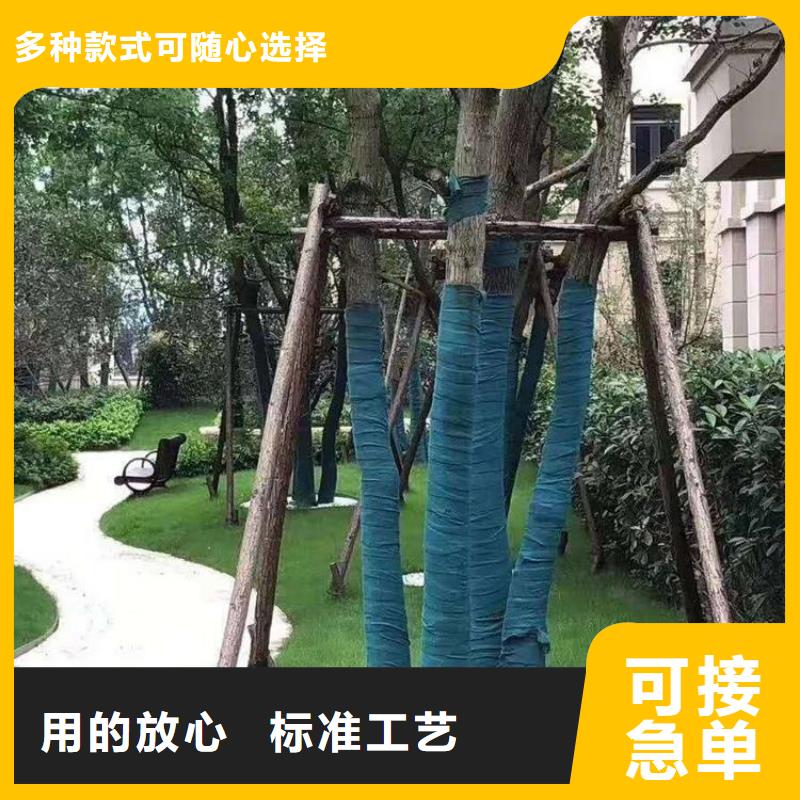 裹树布-塑料盲沟实体厂家好产品价格低