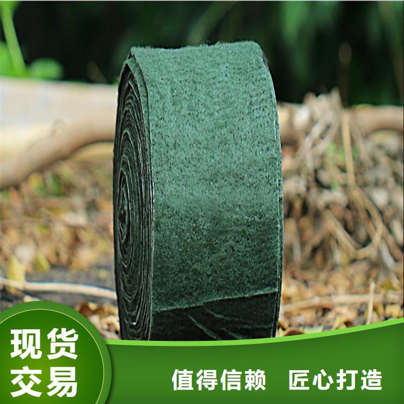 【裹树布】植草格质检严格放心品质本地制造商