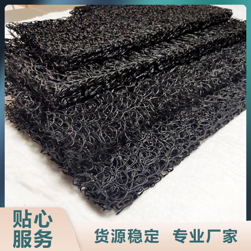 土工席垫-三维植被网敢与同行比价格细节严格凸显品质