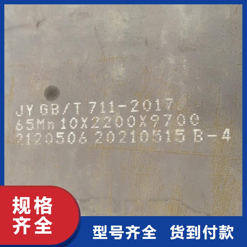 南京弹簧钢板零切厂家当地生产商