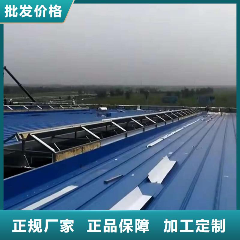 通風(fēng)天窗可定制本地貨源