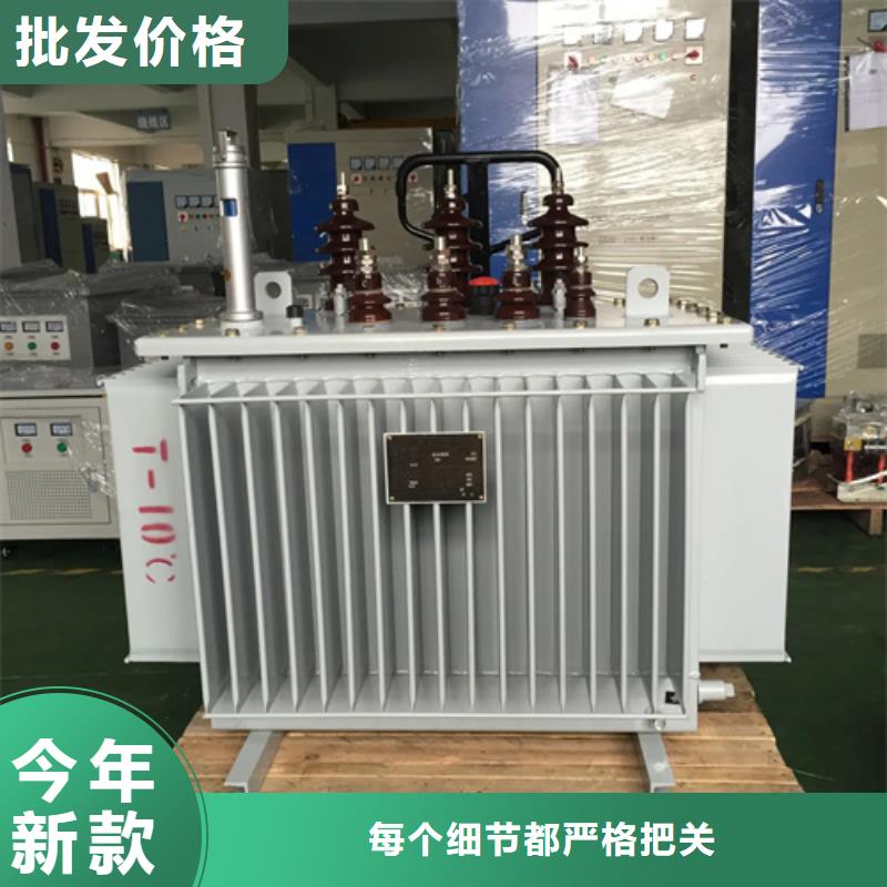 S13-m-160/10油浸式变压器售后服务好现货批发