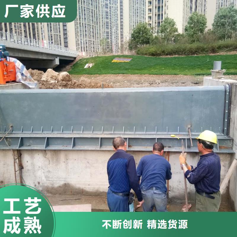 液壓翻轉壩大品牌用品質說話