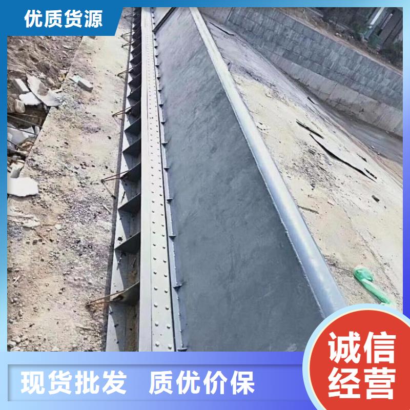 速閉式液動(dòng)限流閘門(mén)同城貨源