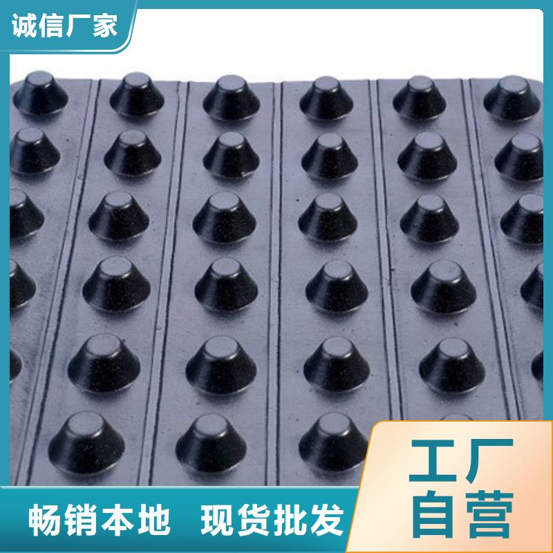 排水板歡迎訂購源頭直供