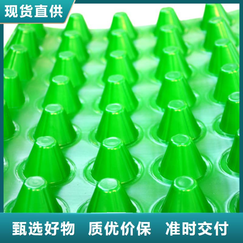 塑料排水板廠家——?dú)g迎咨詢產(chǎn)地源頭好貨