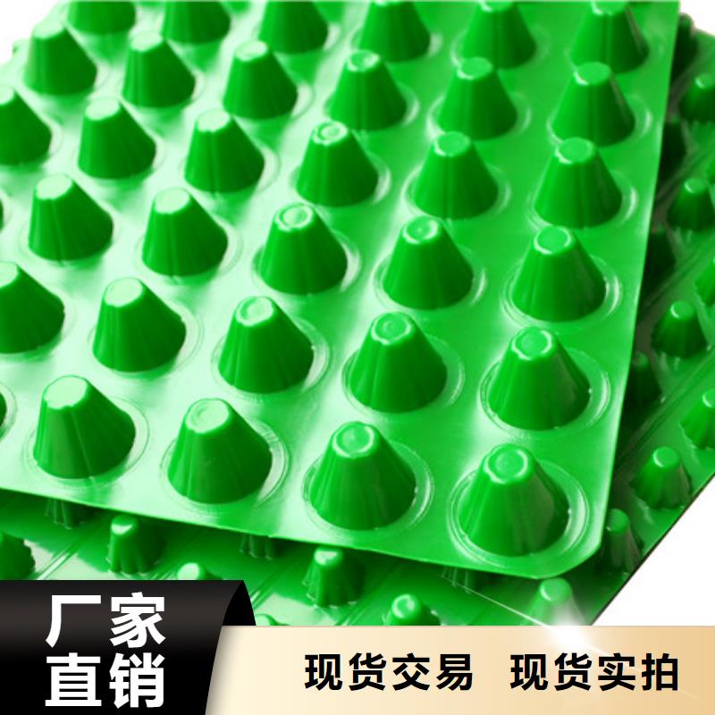 虹吸排水板欢迎电询客户好评