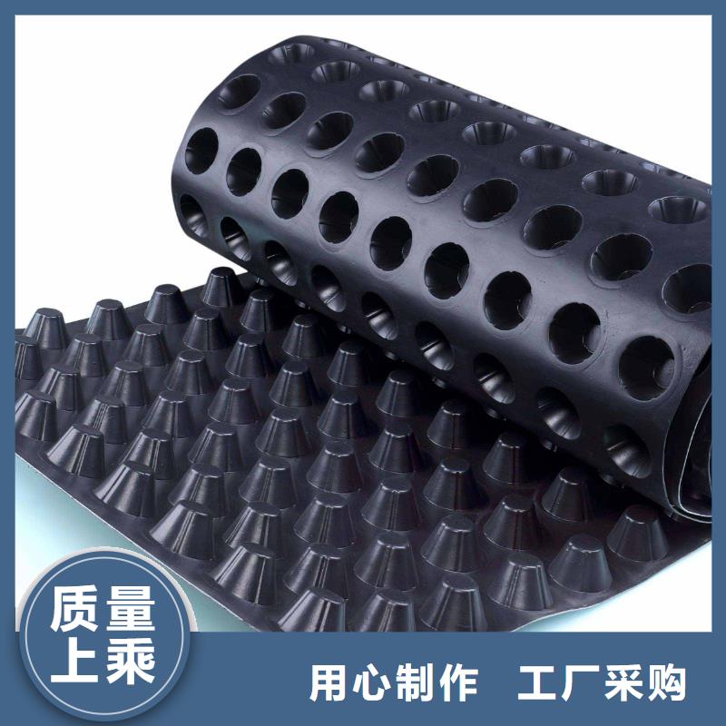 塑料排水板-防護(hù)虹吸排水收集系統(tǒng)廠家誠信廠家