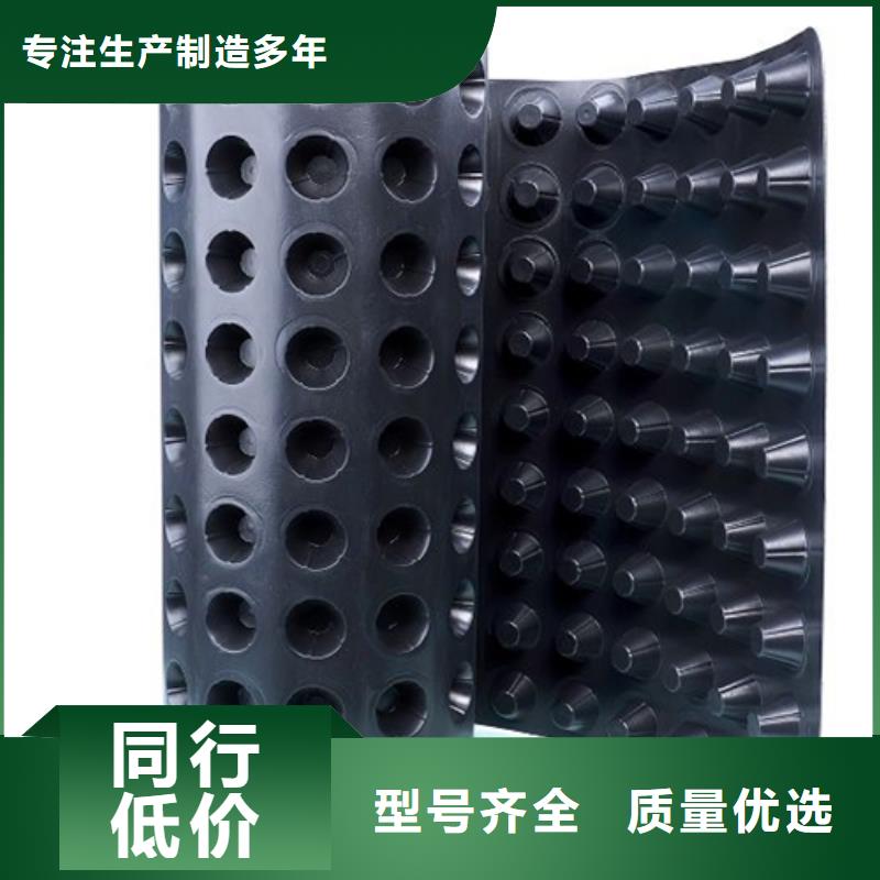 塑料排水板工廠直營(yíng)店@歡迎咨詢當(dāng)?shù)貜S家