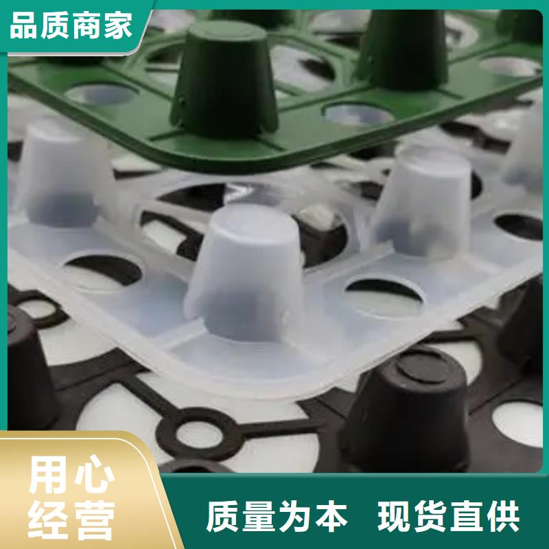 蓄排水板價(jià)格多少產(chǎn)品優(yōu)勢(shì)特點(diǎn)