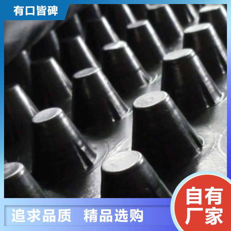 蓄排水板2025-新用好材做好产品