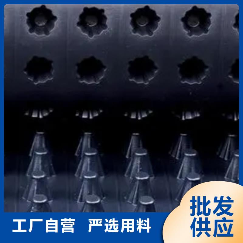 塑料排水板批發(fā)零售極速發(fā)貨