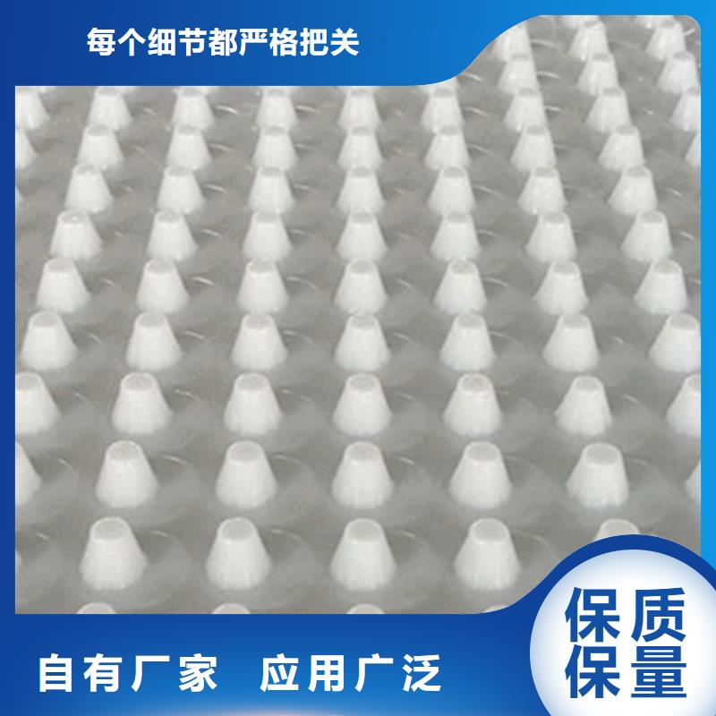 蓄排水板厂家欢迎您工厂采购