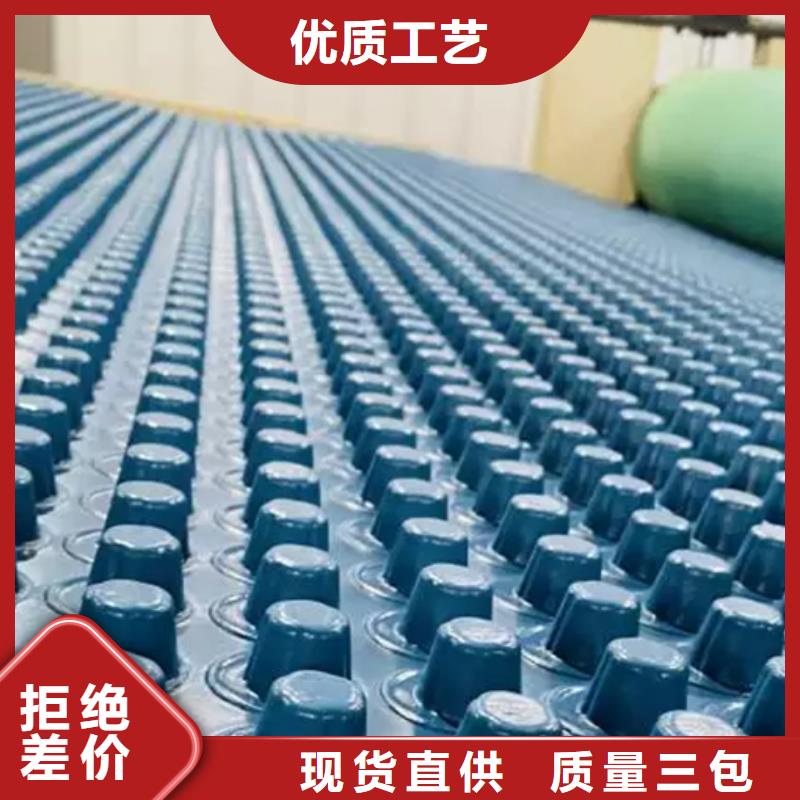 車庫(kù)排水板廠家批發(fā)自營(yíng)品質(zhì)有保障