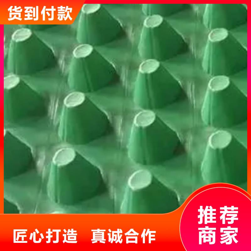 虹吸排水板按需定制源頭直供