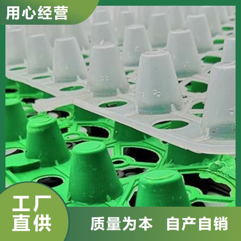 塑料排水板实力厂家产地采购