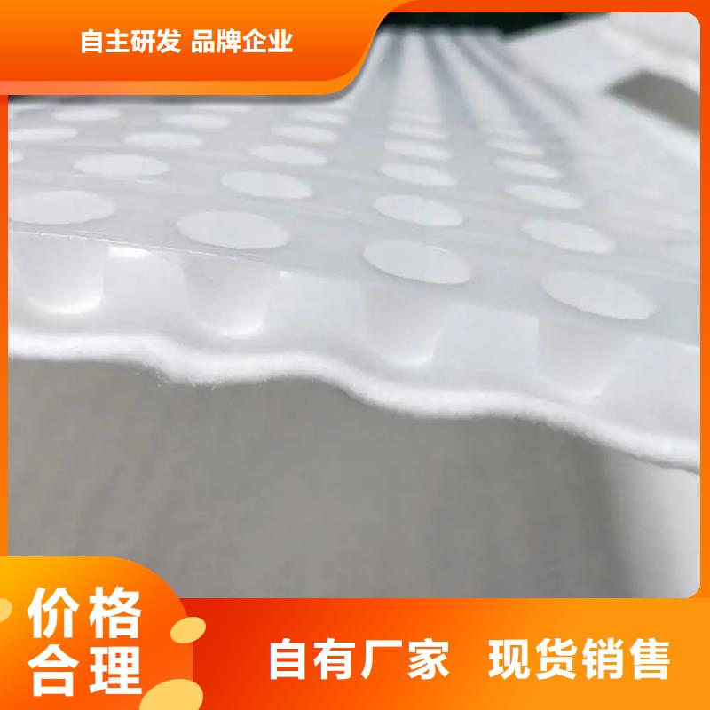 【虹吸排水植草格懂您所需】本地生產(chǎn)廠家