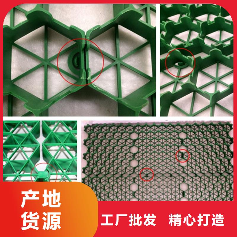 植草格防護(hù)虹吸排水收集系統(tǒng)專注產(chǎn)品質(zhì)量與服務(wù)同城公司