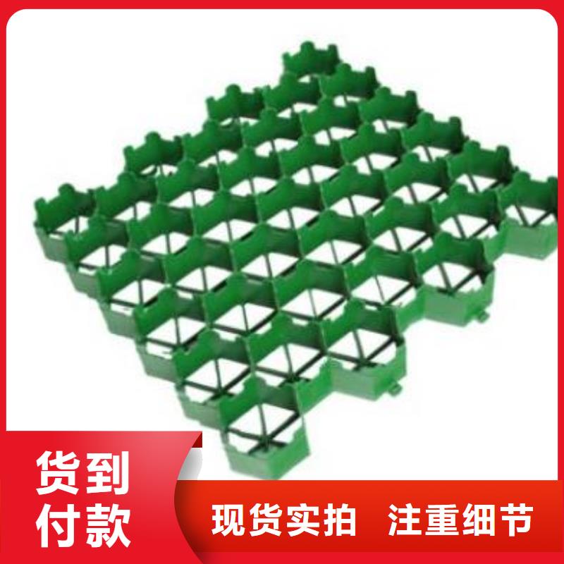 植草格防護(hù)虹吸排水收集系統(tǒng)真材實(shí)料誠信經(jīng)營本地生產(chǎn)廠家