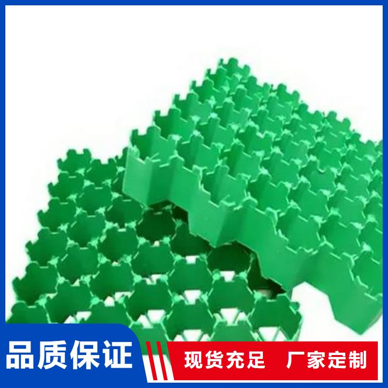 塑料植草格多年实力厂家