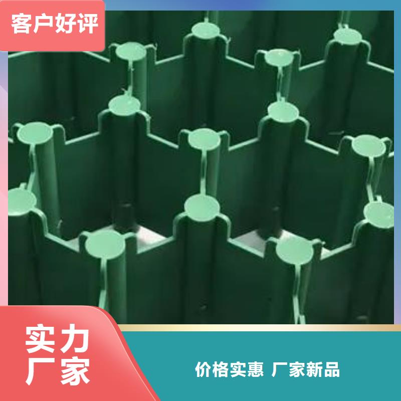 龍巖塑料植草格-植草格廠家