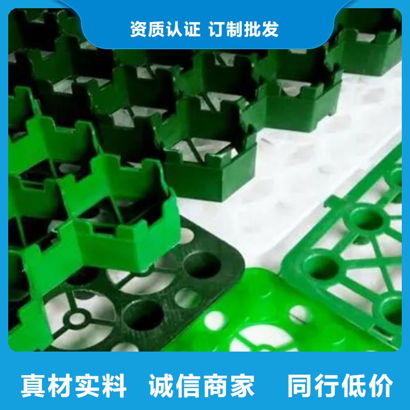 植草格2025新聞產(chǎn)品優(yōu)勢(shì)特點(diǎn)
