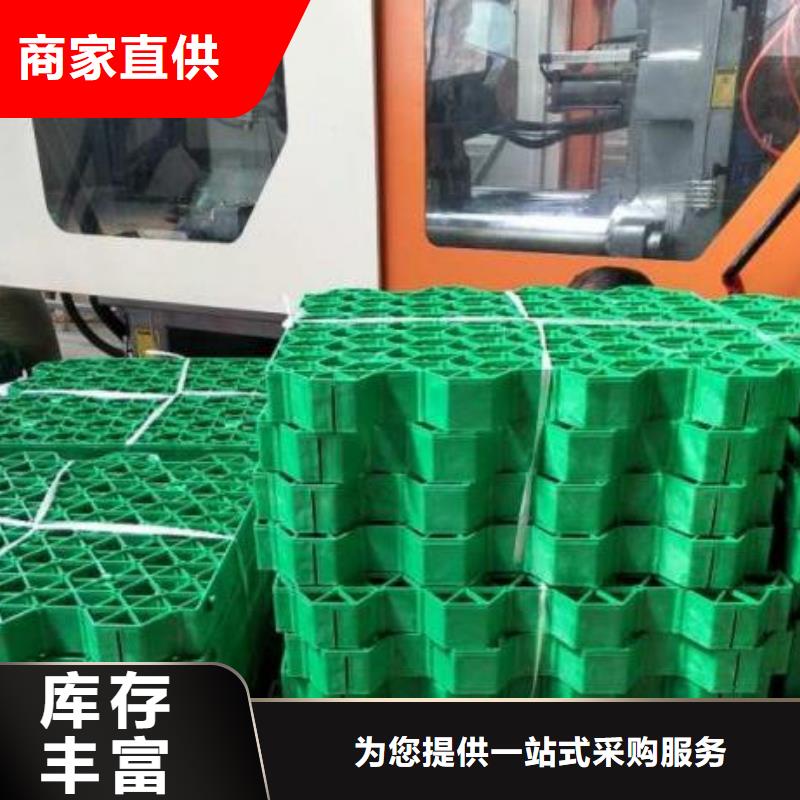 塑料植草格廠家-全國發(fā)貨打造好品質(zhì)