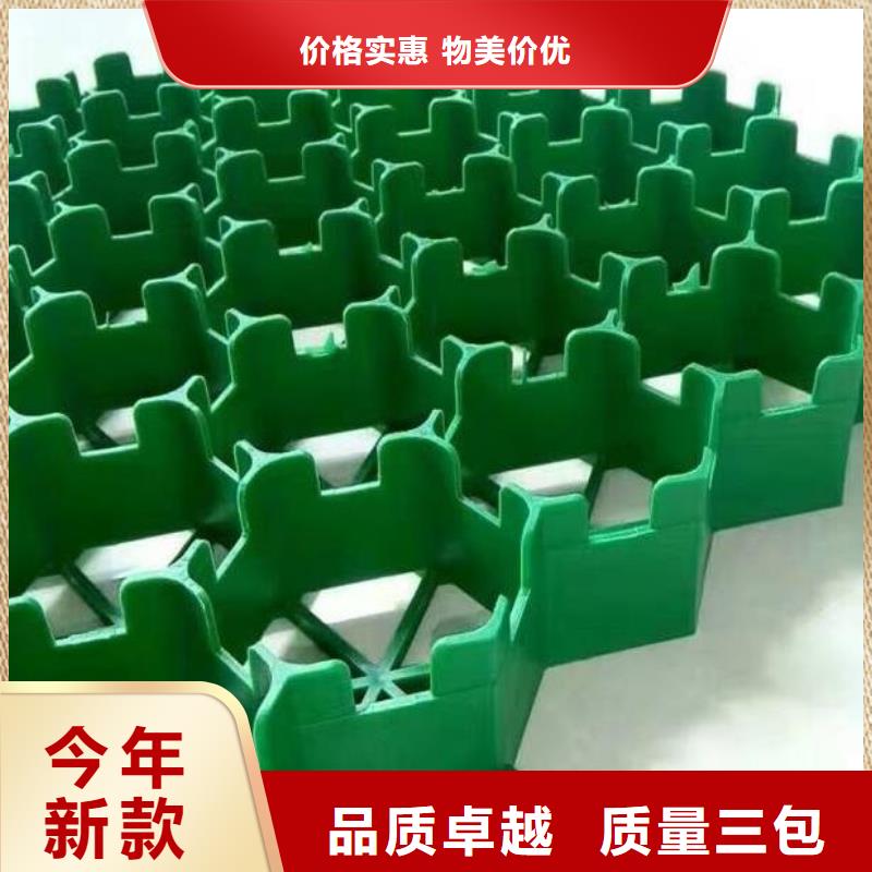 塑料植草格價(jià)格@2025更新中同城生產(chǎn)廠家