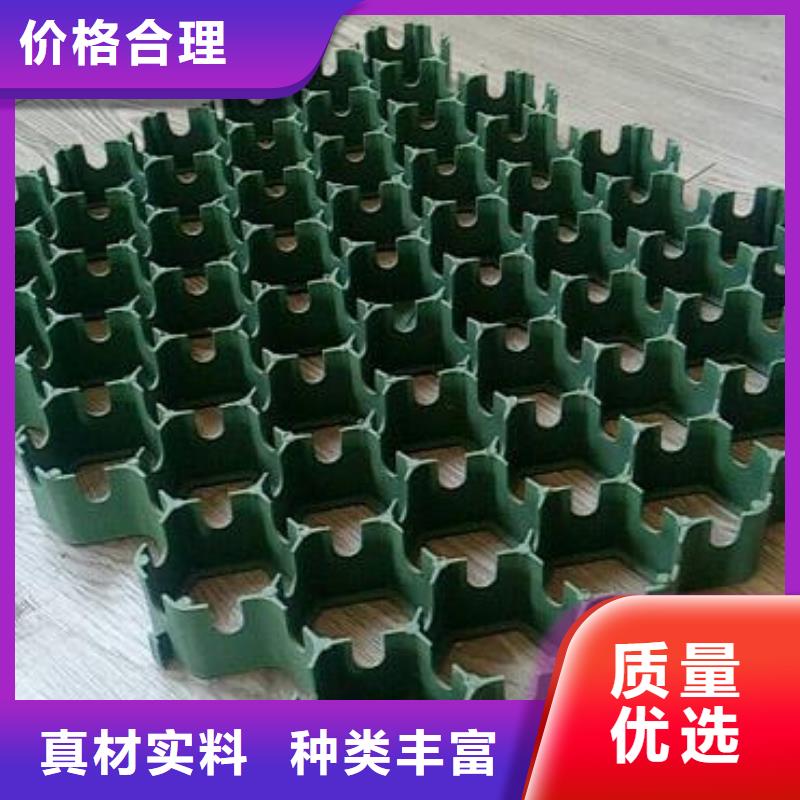 塑料植草格-植草格廠家當(dāng)?shù)厣a(chǎn)商