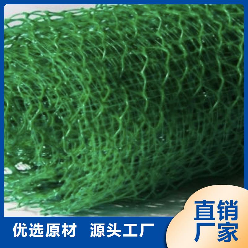 三维土工网垫本地供货商现货充足