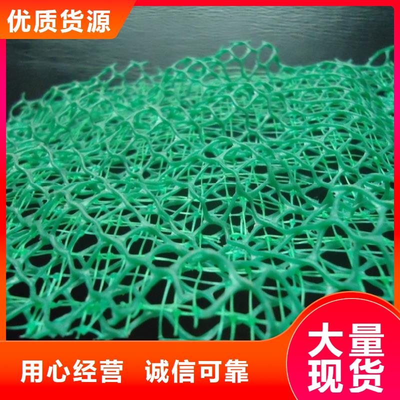 ?三維植被網(wǎng)-排水板質(zhì)量為本庫存充足