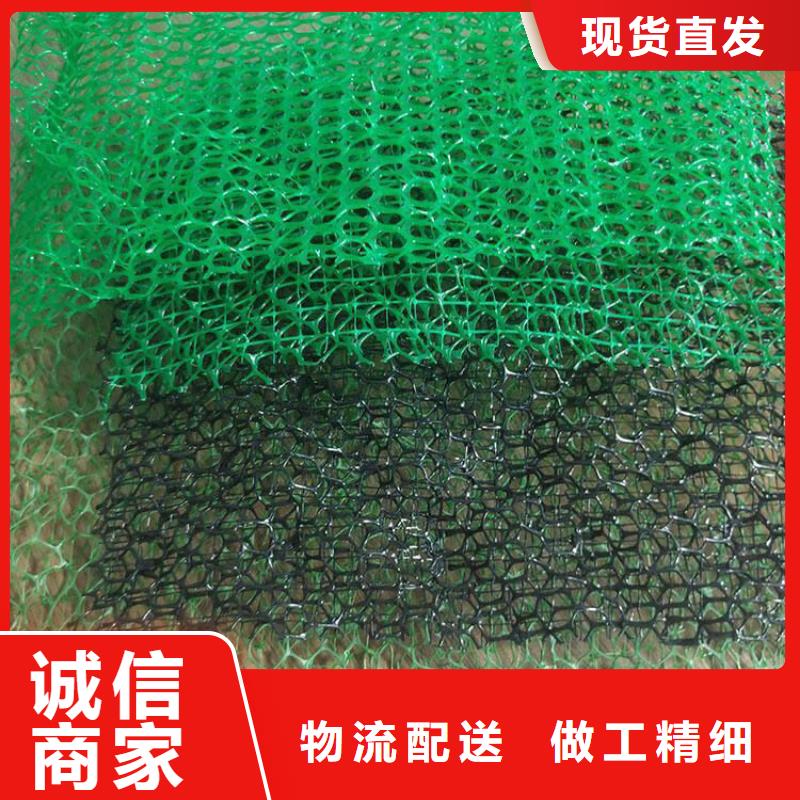 三維植被網(wǎng)本地供貨商本地廠家
