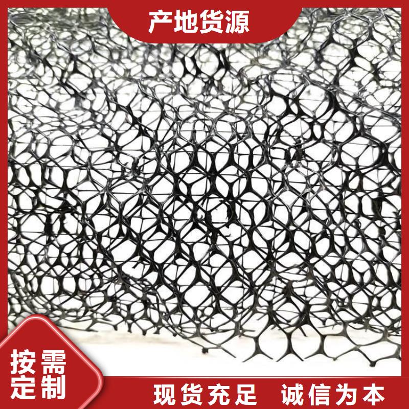 三維植被網(wǎng)三維植被網(wǎng)廠家工廠直銷