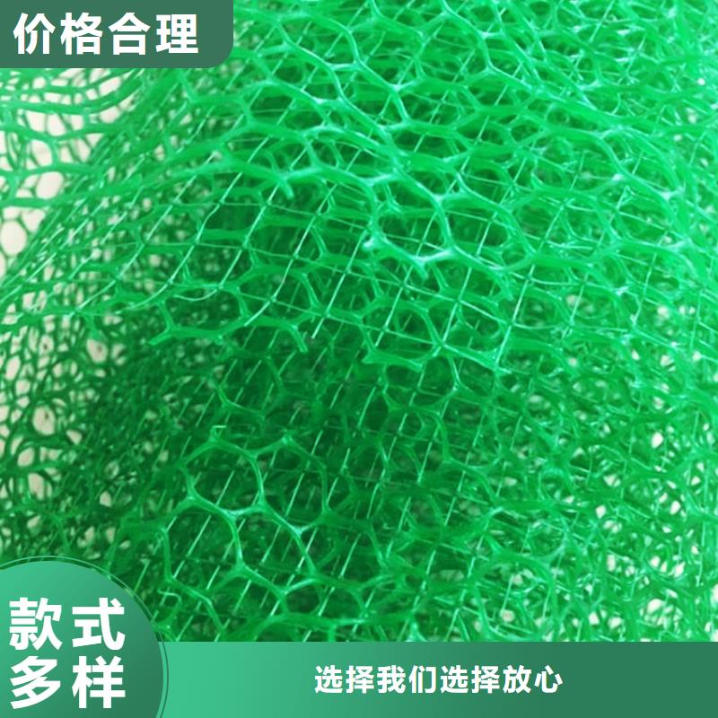 三维植被网_植草格产地批发当地生产商