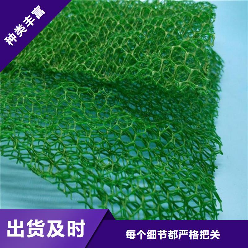 三维植被网-工厂直营本地制造商