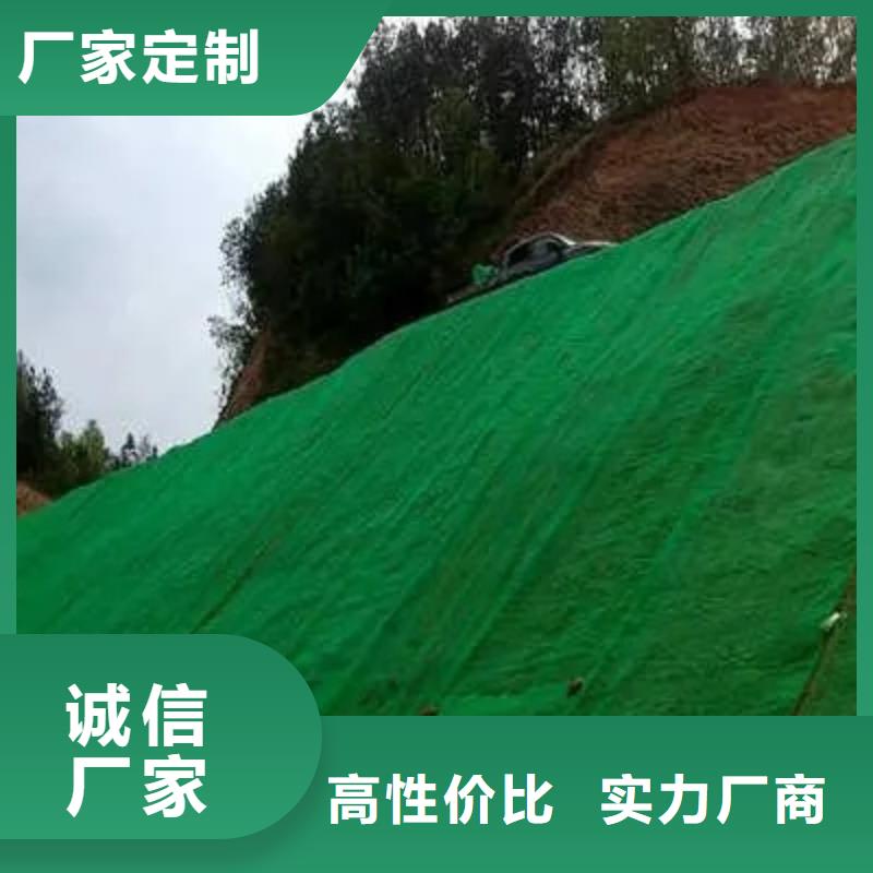 三維植被網(wǎng)價(jià)格多種工藝