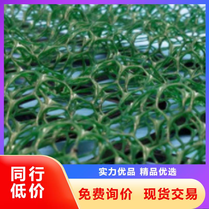 三維植被網(wǎng)品牌當(dāng)?shù)厣a(chǎn)廠家