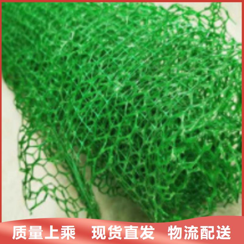 【三维植被网防护虹吸排水收集系统多年经验值得信赖】款式多样
