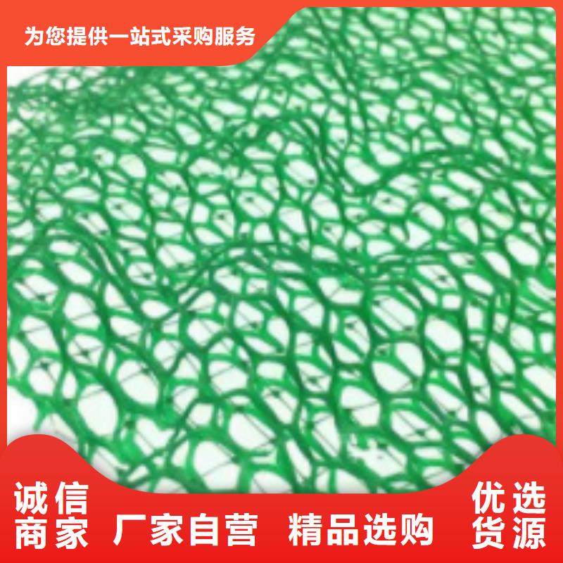 三維植被網(wǎng)植草格省心又省錢當(dāng)?shù)厣a(chǎn)廠家