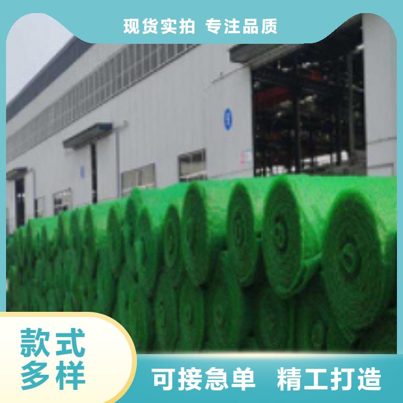 三維植被網(wǎng)歡迎咨詢批發(fā)價(jià)支持大批量采購