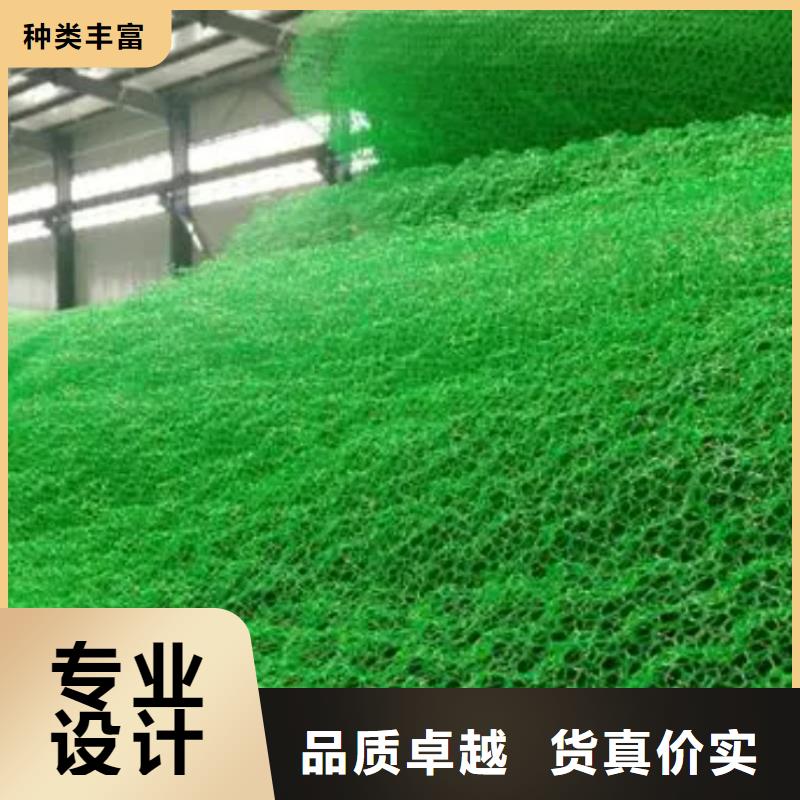 澄邁縣三維土工網(wǎng)墊品牌同城貨源