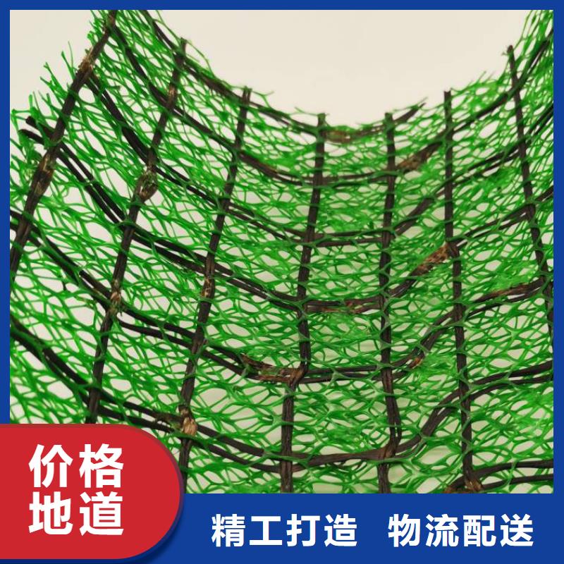 三维土工网垫欢迎咨询批发价信誉至上